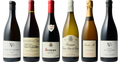 Burgundy & Champagne Essentials Case – kurateret vinkasse fra Rarité