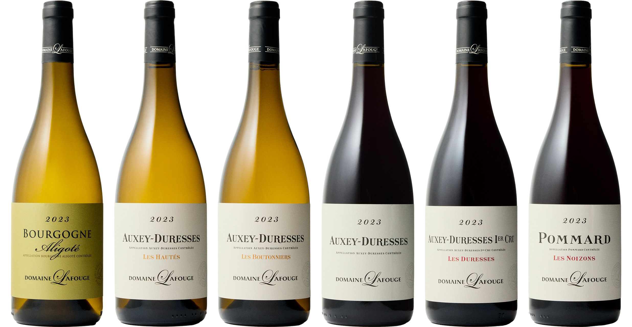 Domaine Lafouge Discovery Case – kurateret vinkasse fra Rarité