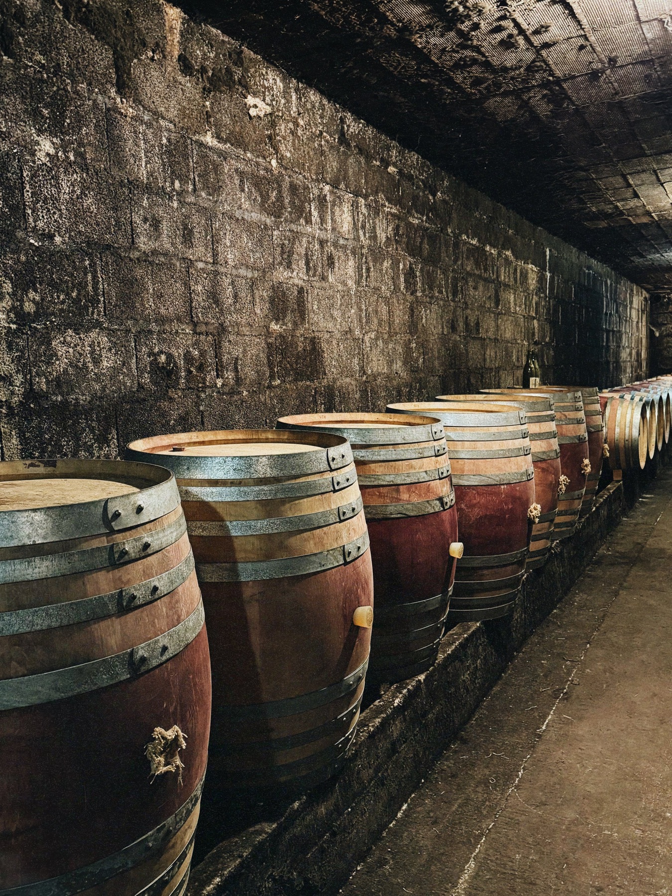 Domaine Soyer