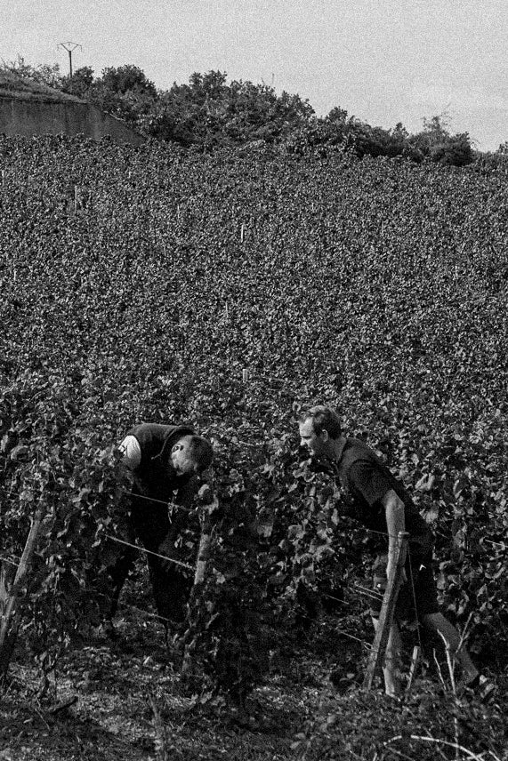 Domaine Audiffred