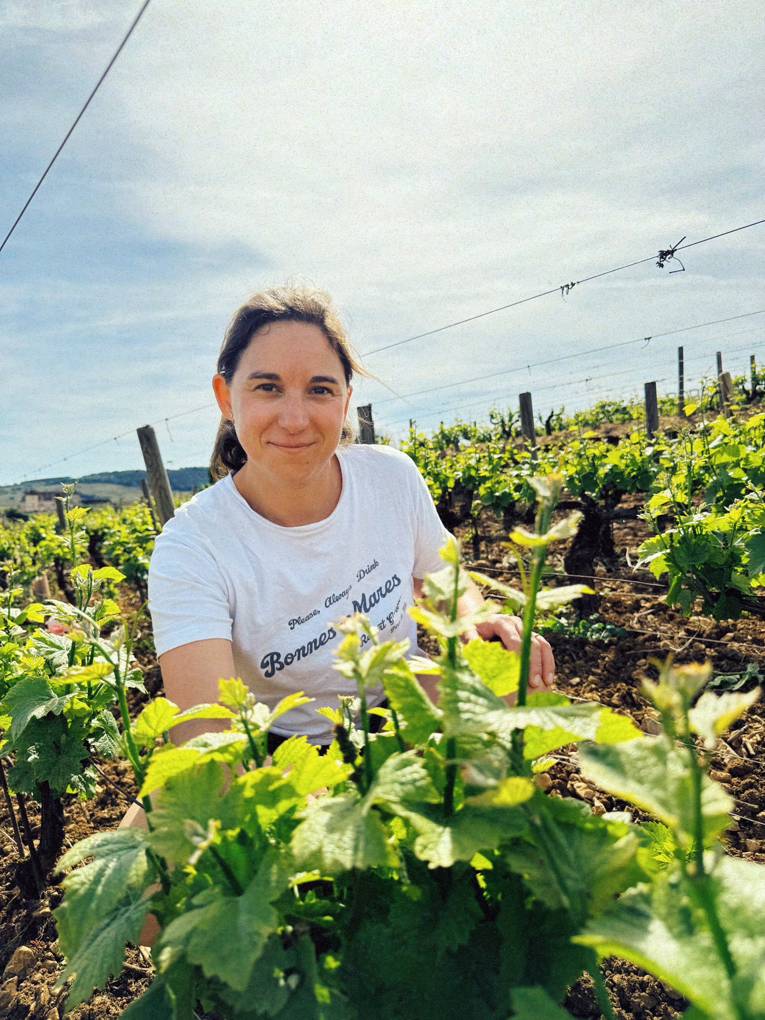 Domaine DeCéline