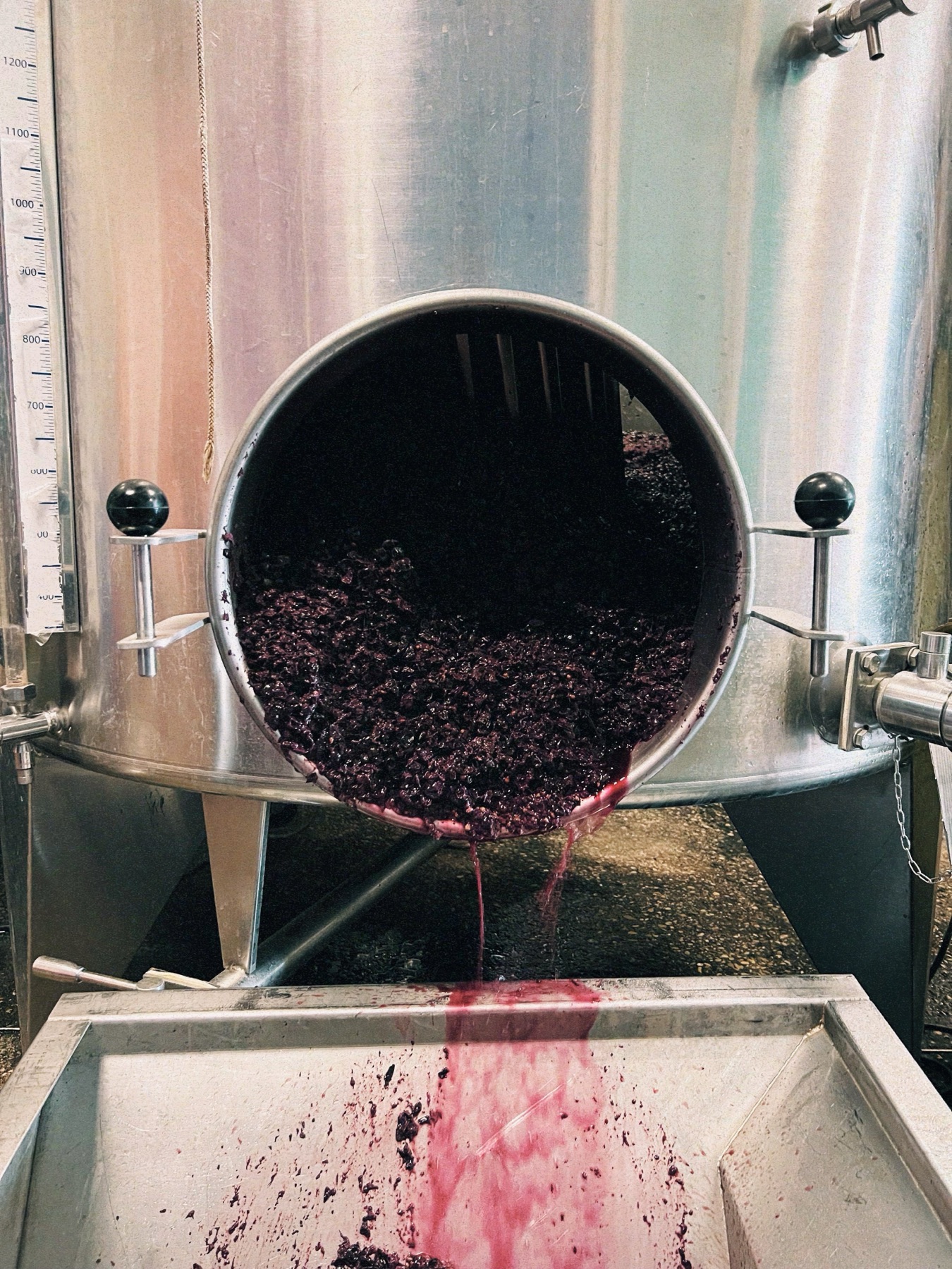 Domaine Adrien Emond
