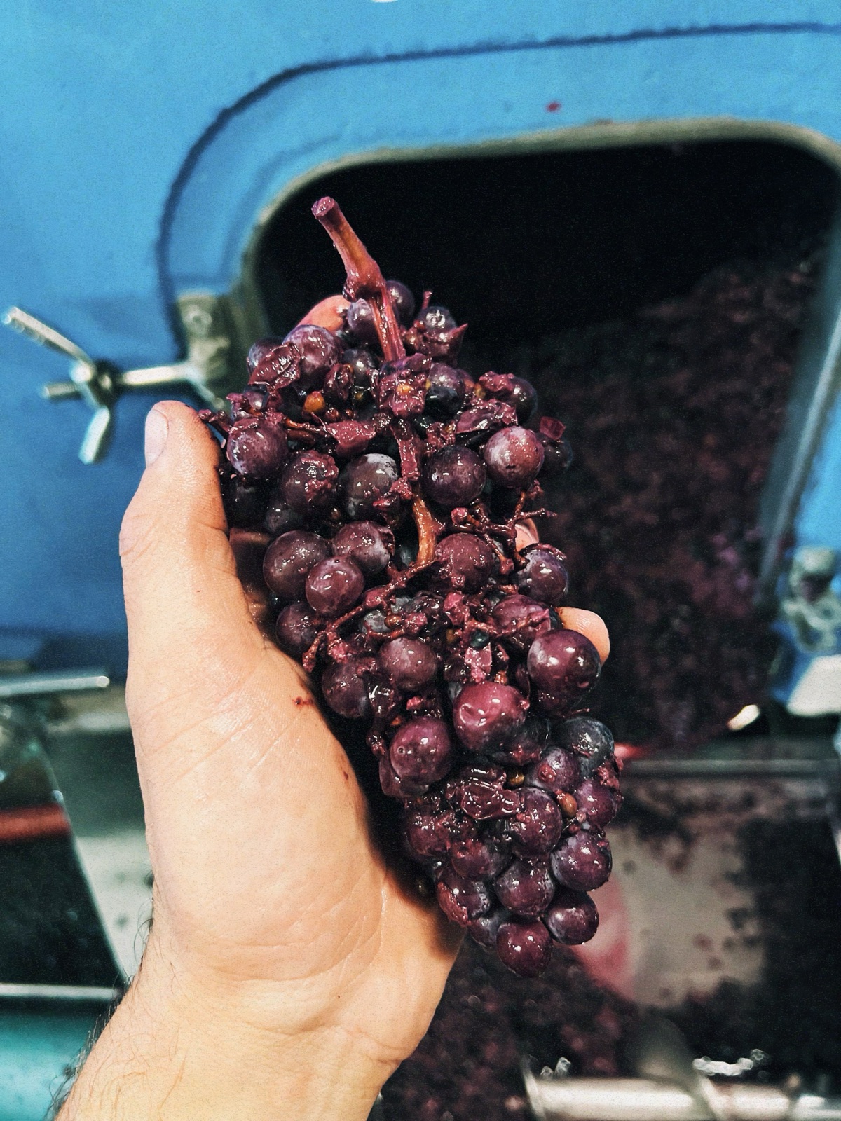 Domaine Adrien Emond