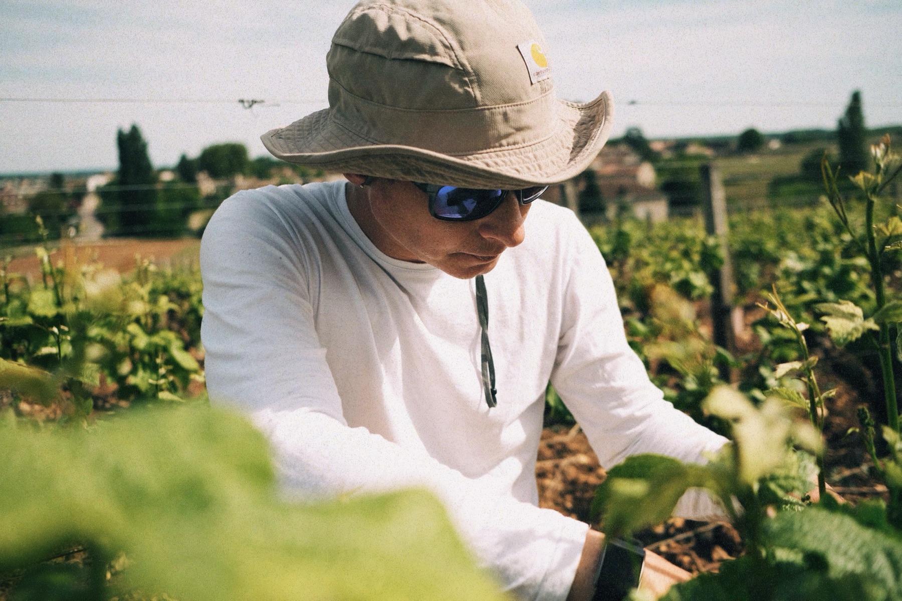 Domaine Robert Groffier