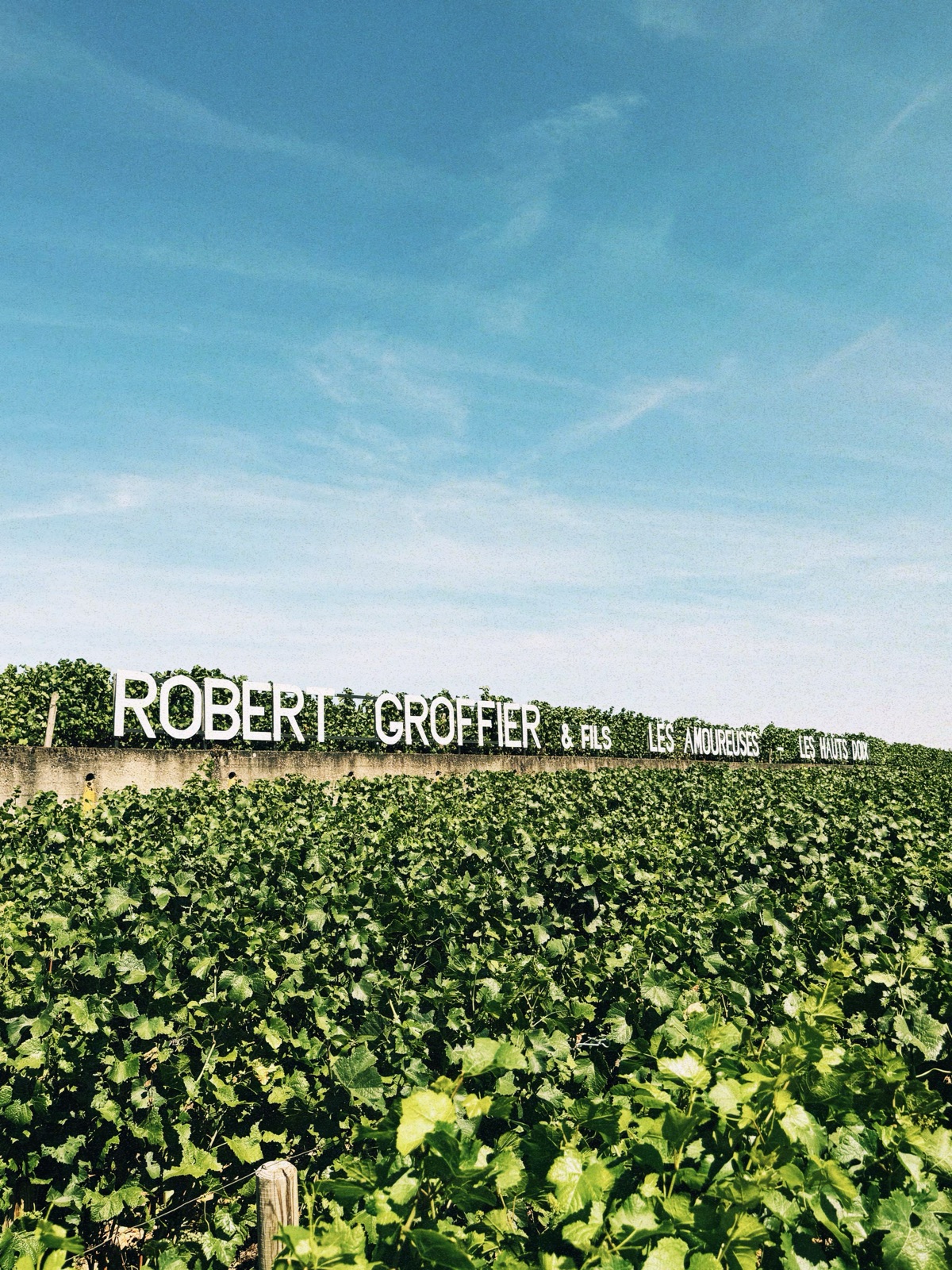 Domaine Robert Groffier