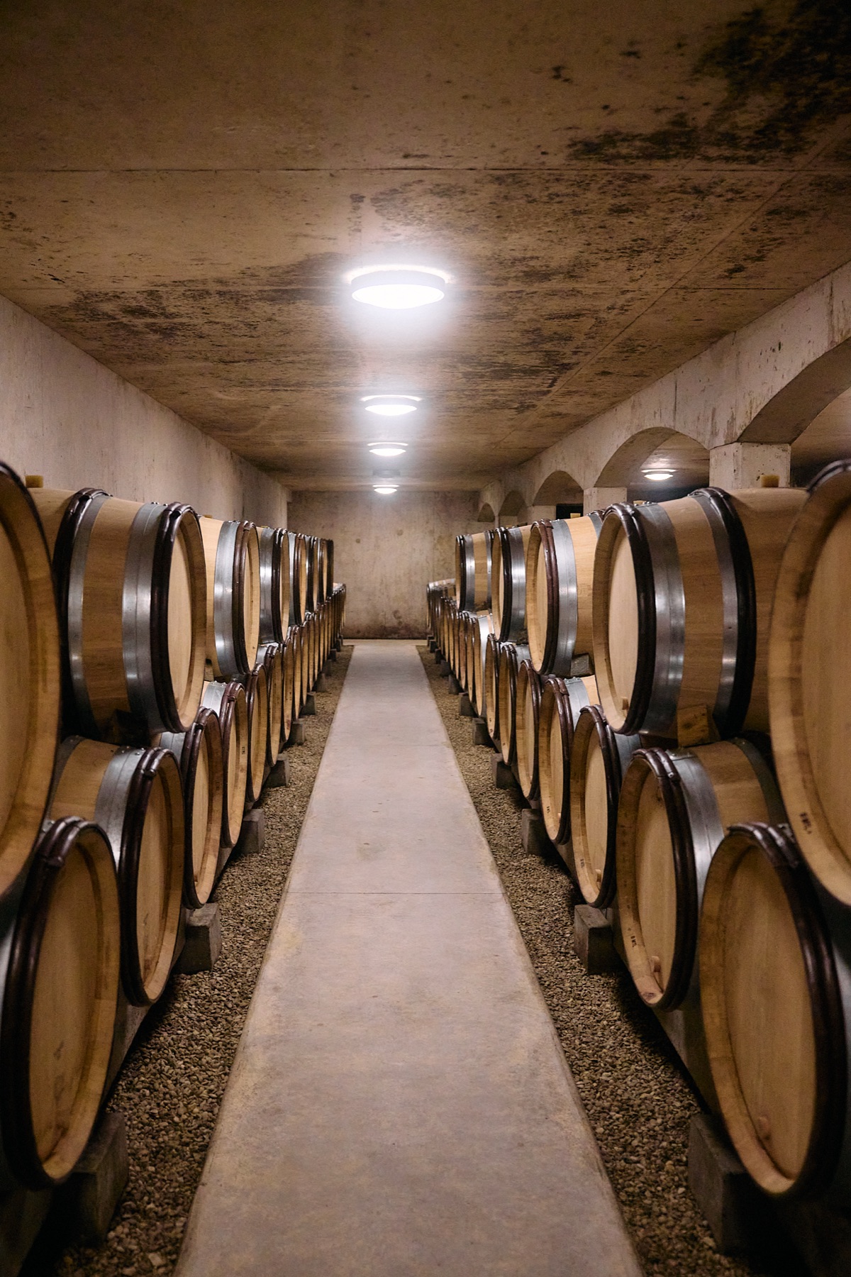 Domaine Lafouge